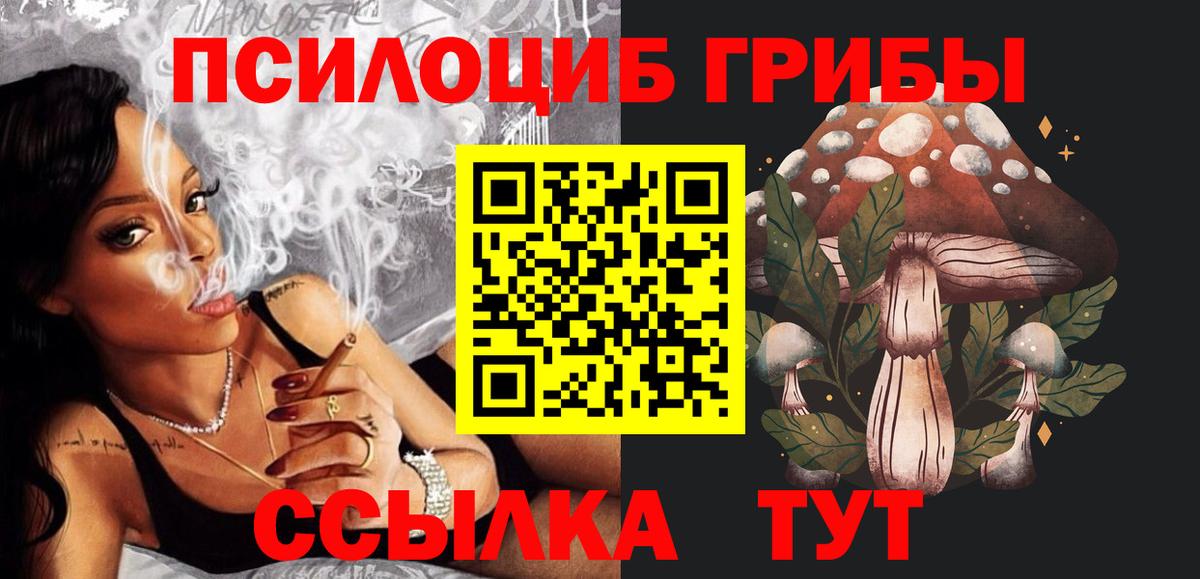 Псилоцибиновые грибы Psilocybe  Псилоцибиновые грибы Cubensis  Семёнов  Вход с VPN 