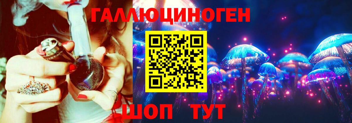 Псилоцибиновые грибы Psilocybe Семёнов